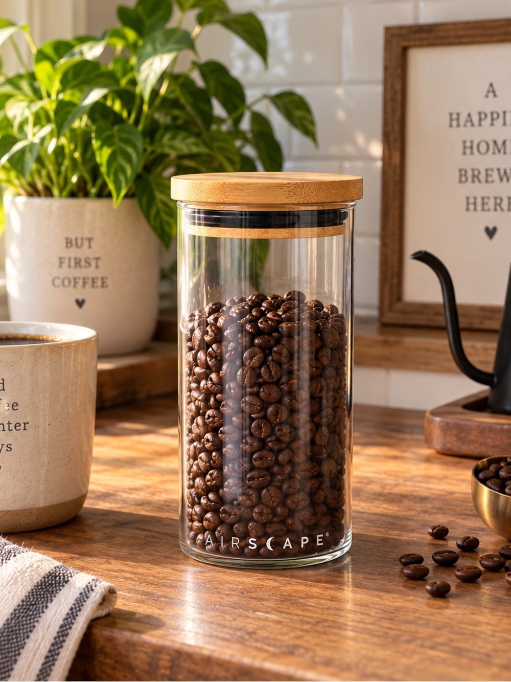 Medium sized Airscape Coffee air tight canister